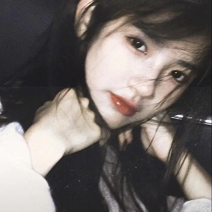 鸽之翼